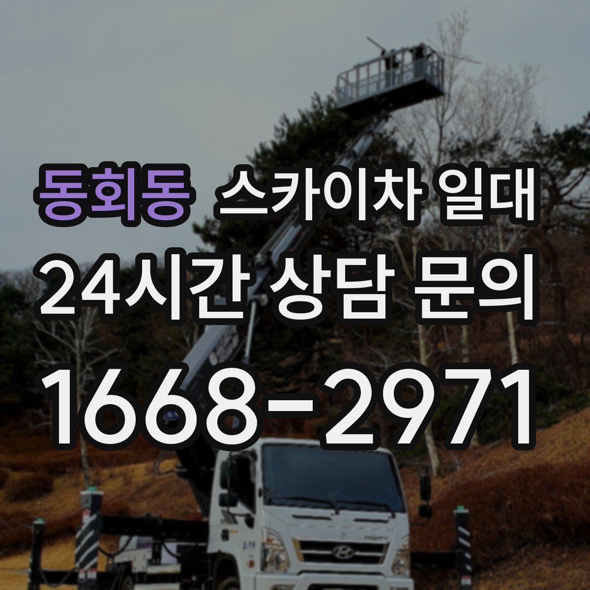 동회동 스카이차 일대