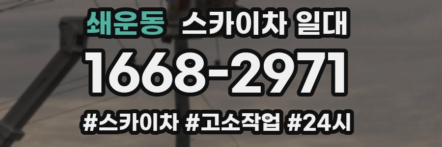 쇄운동 스카이차 일대