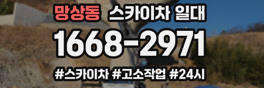 망상동 스카이차 일대