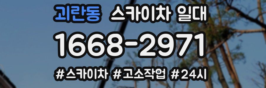 괴란동 스카이차 일대