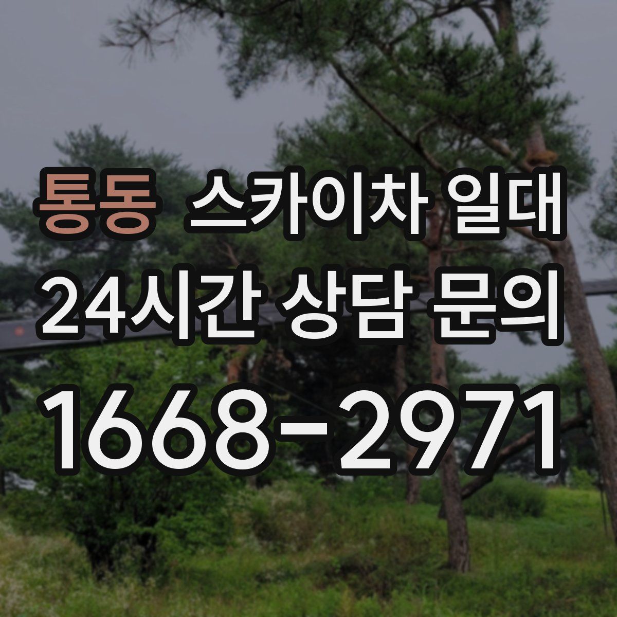 통동 스카이차 일대