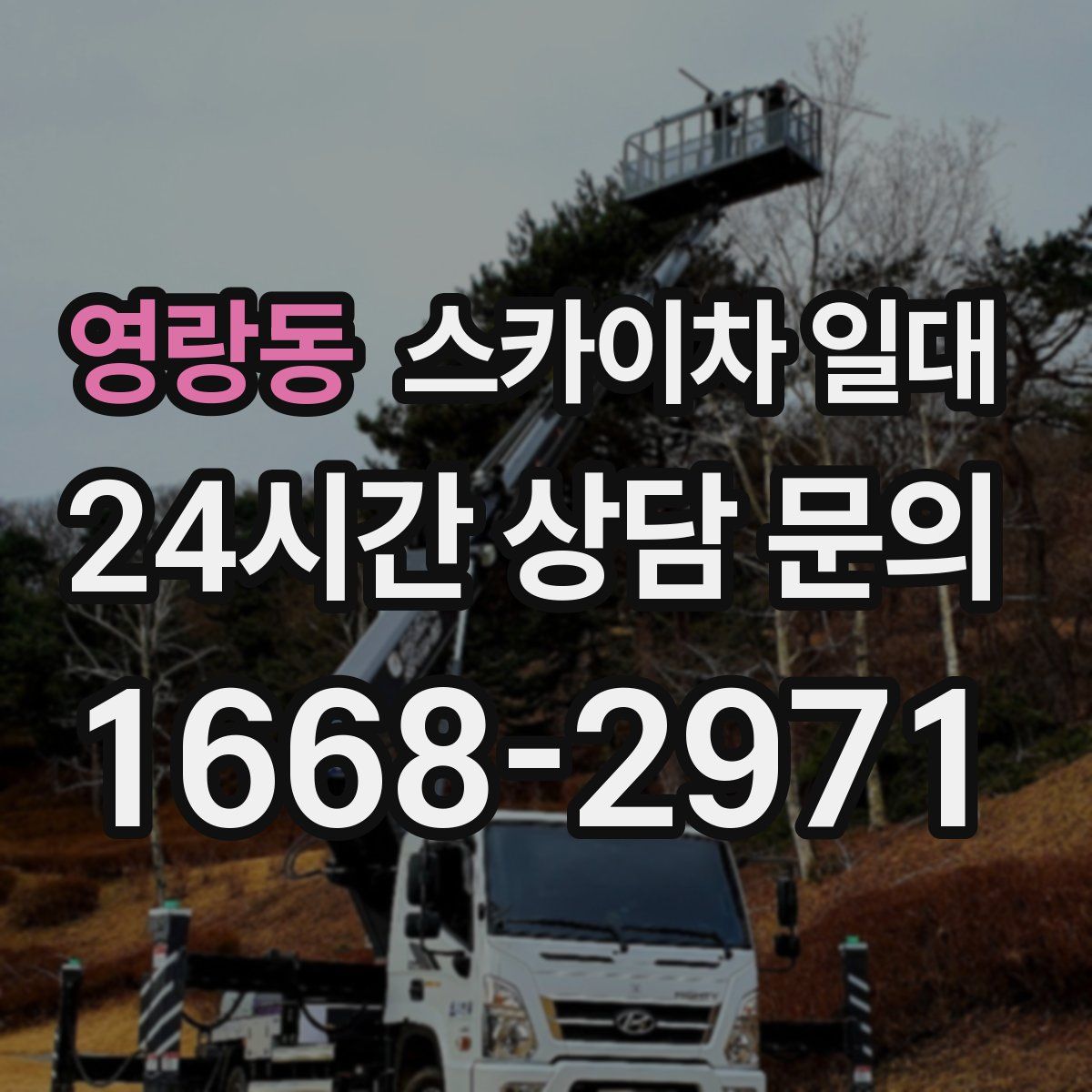 영랑동 스카이차 일대