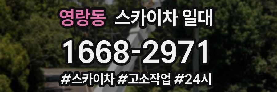 영랑동 스카이차 일대