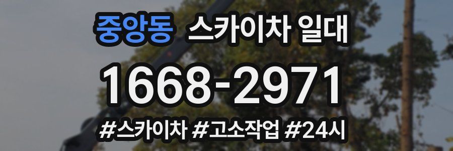 중앙동 스카이차 일대
