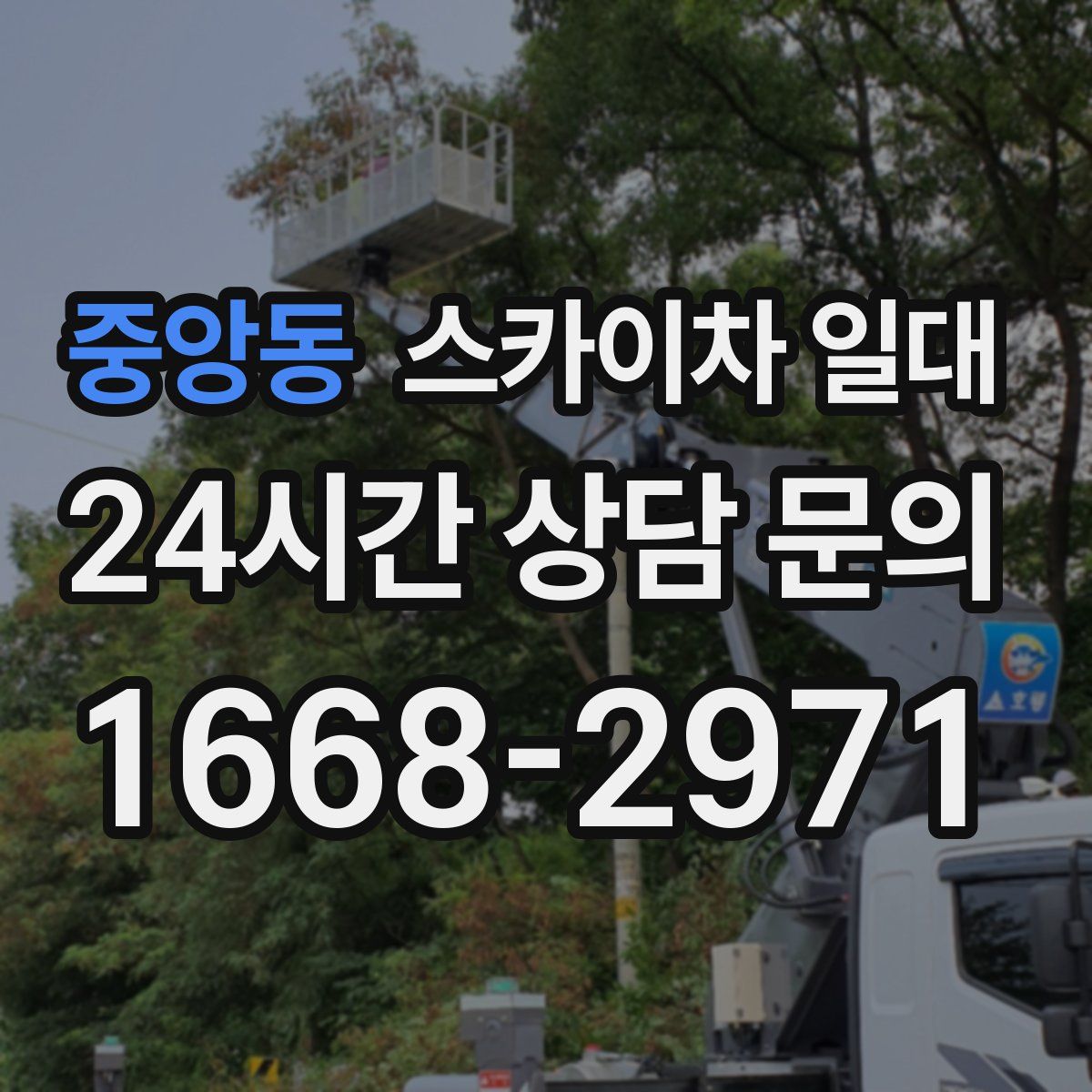 중앙동 스카이차 일대