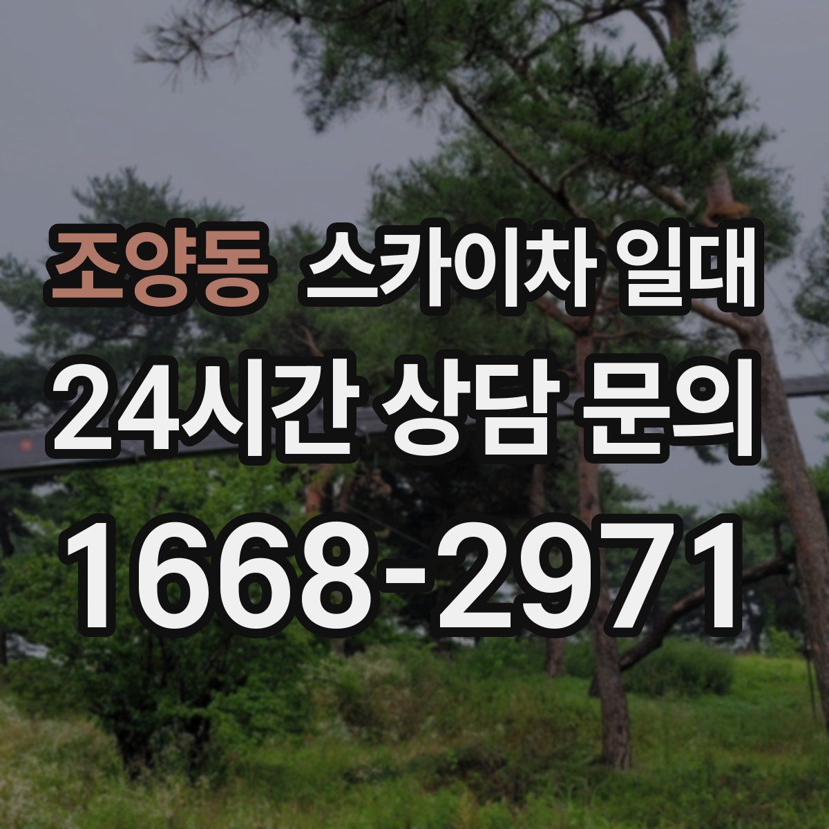 조양동 스카이차 일대