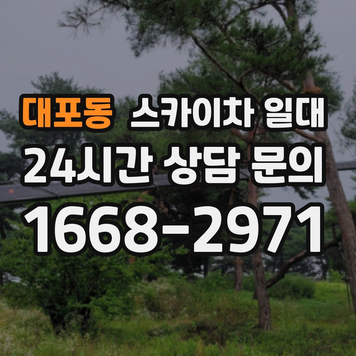 대포동 스카이차 일대