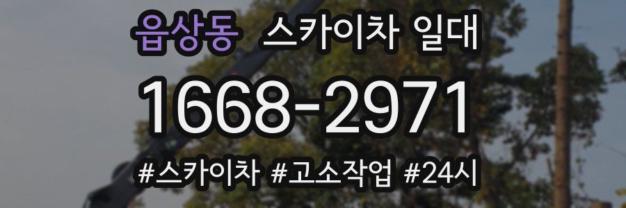 읍상동 스카이차 일대