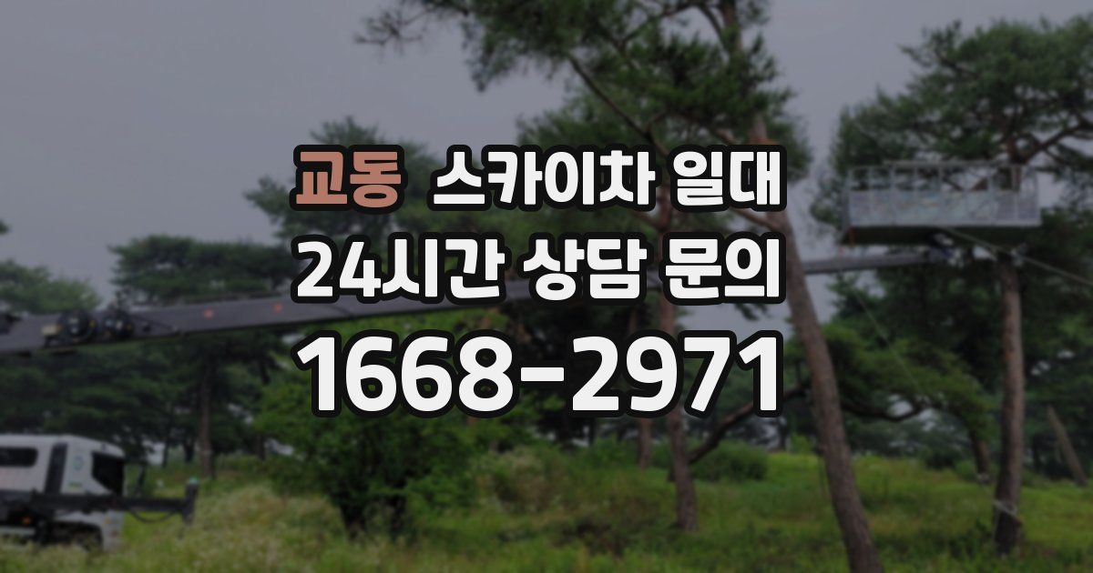 교동 스카이차 일대