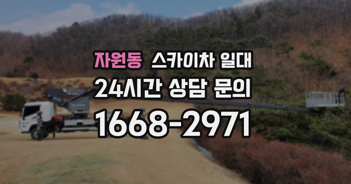 자원동 스카이차 일대