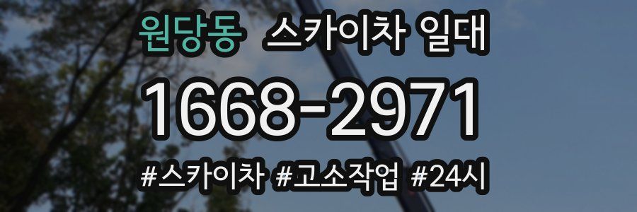 원당동 스카이차 일대