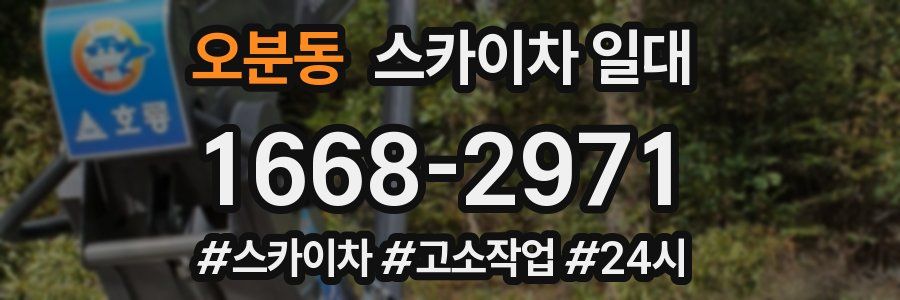 오분동 스카이차 일대