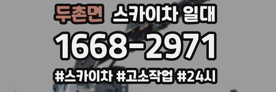 두촌면 스카이차 일대