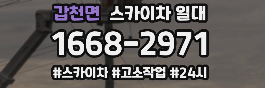 갑천면 스카이차 일대