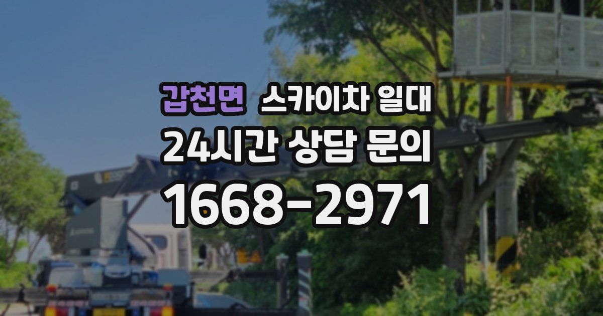 갑천면 스카이차 일대