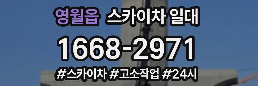 영월읍 스카이차 일대