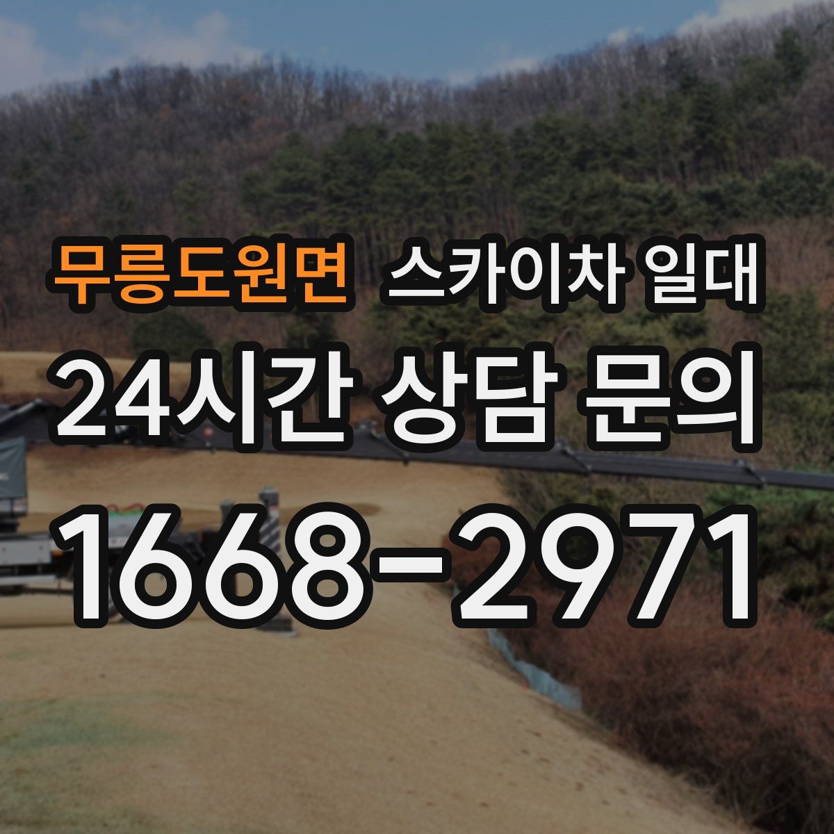 무릉도원면 스카이차 일대