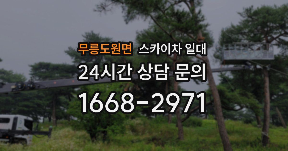 무릉도원면 스카이차 일대