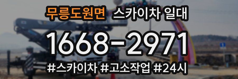 무릉도원면 스카이차 일대