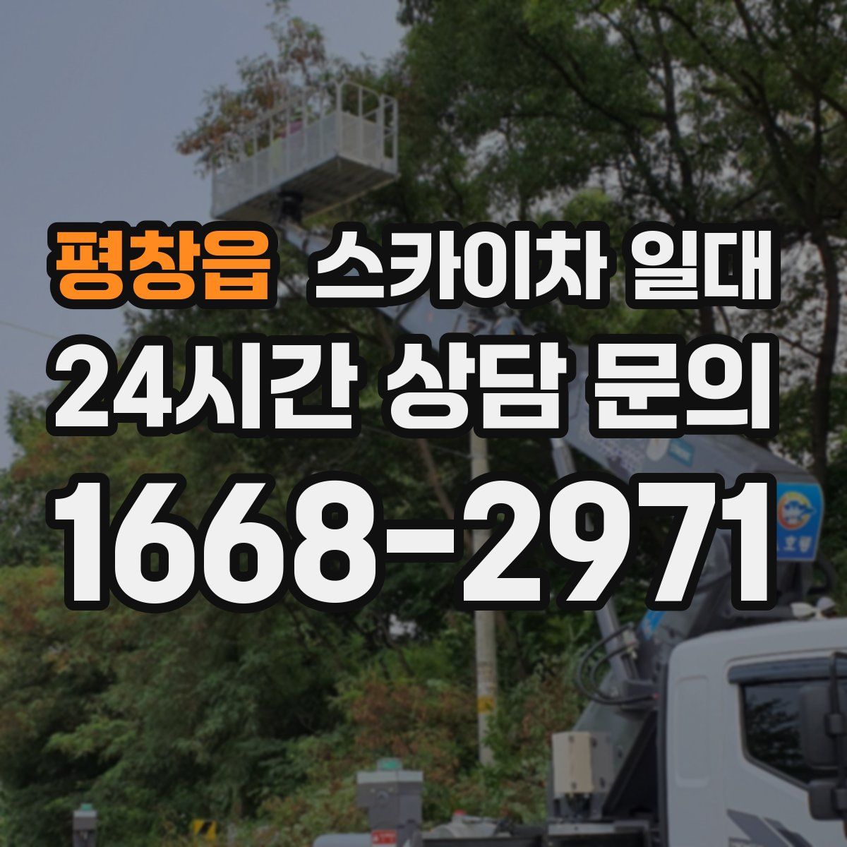 평창읍 스카이차 일대