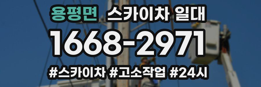 용평면 스카이차 일대