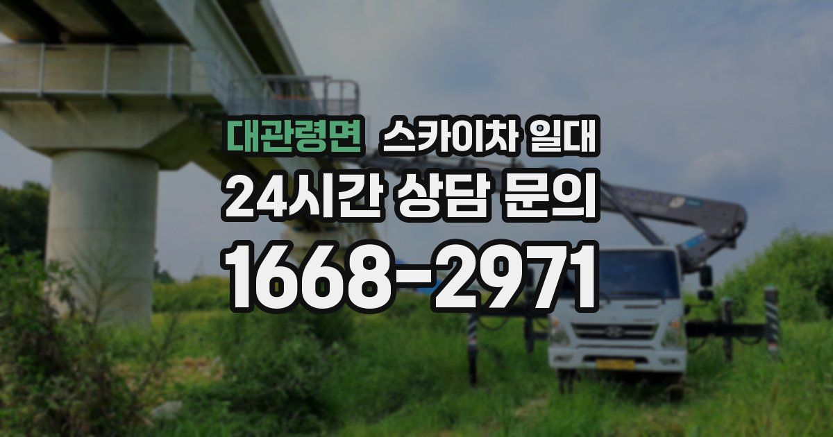 대관령면 스카이차 일대