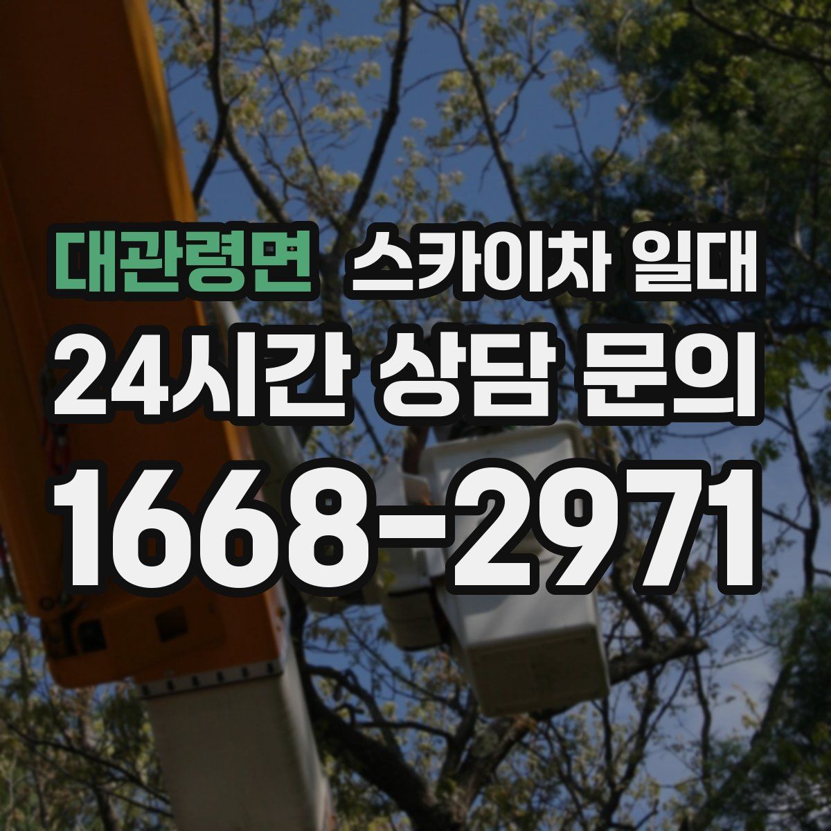 대관령면 스카이차 일대