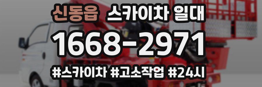 신동읍 스카이차 일대