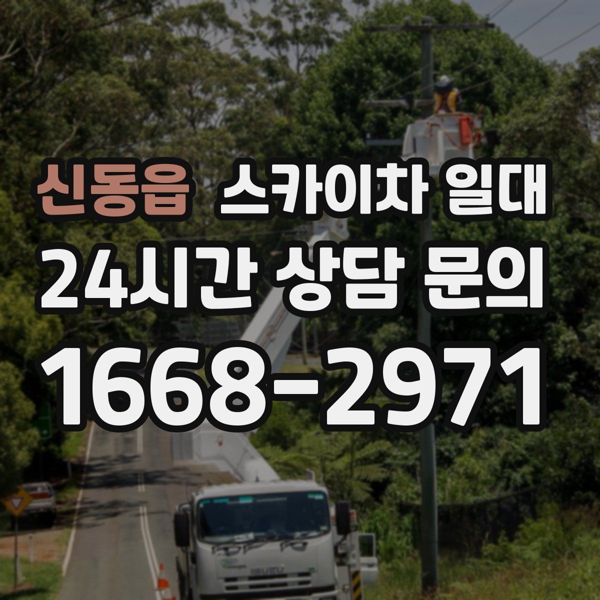 신동읍 스카이차 일대