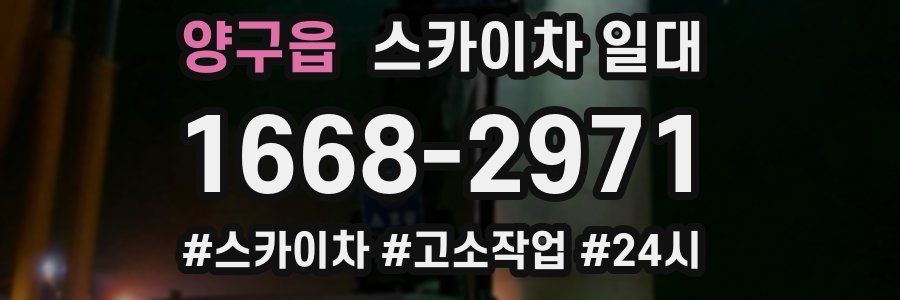 양구읍 스카이차 일대
