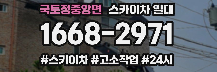 국토정중앙면 스카이차 일대