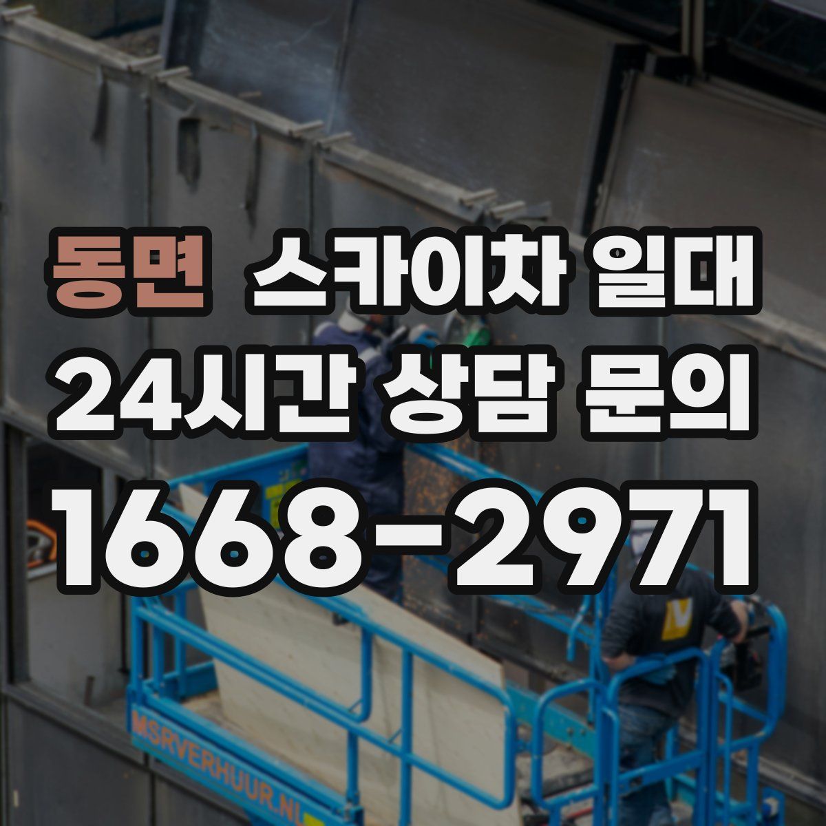 동면 스카이차 일대