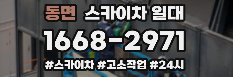 동면 스카이차 일대
