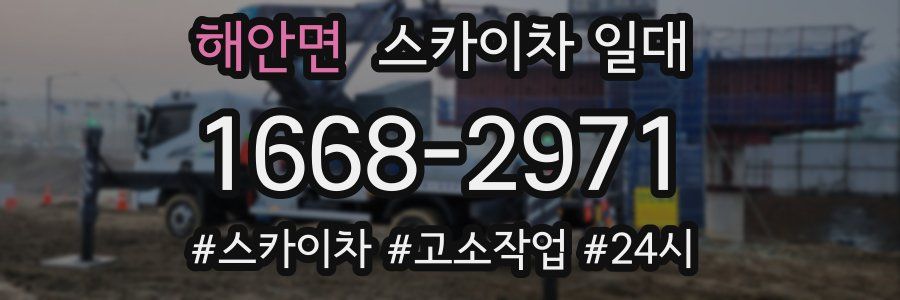 해안면 스카이차 일대