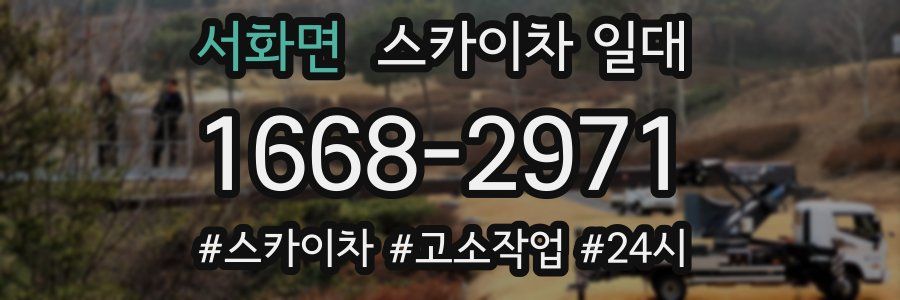 서화면 스카이차 일대