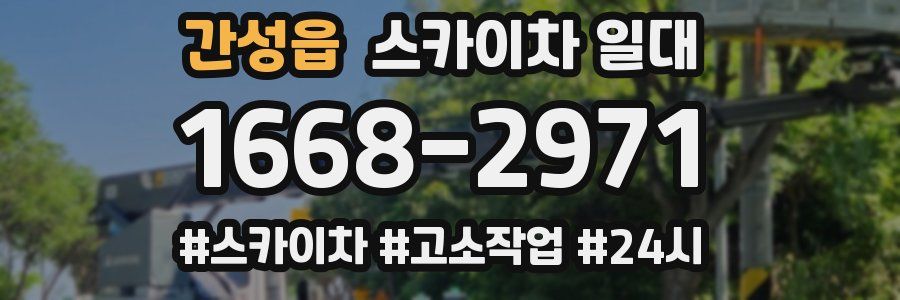 간성읍 스카이차 일대