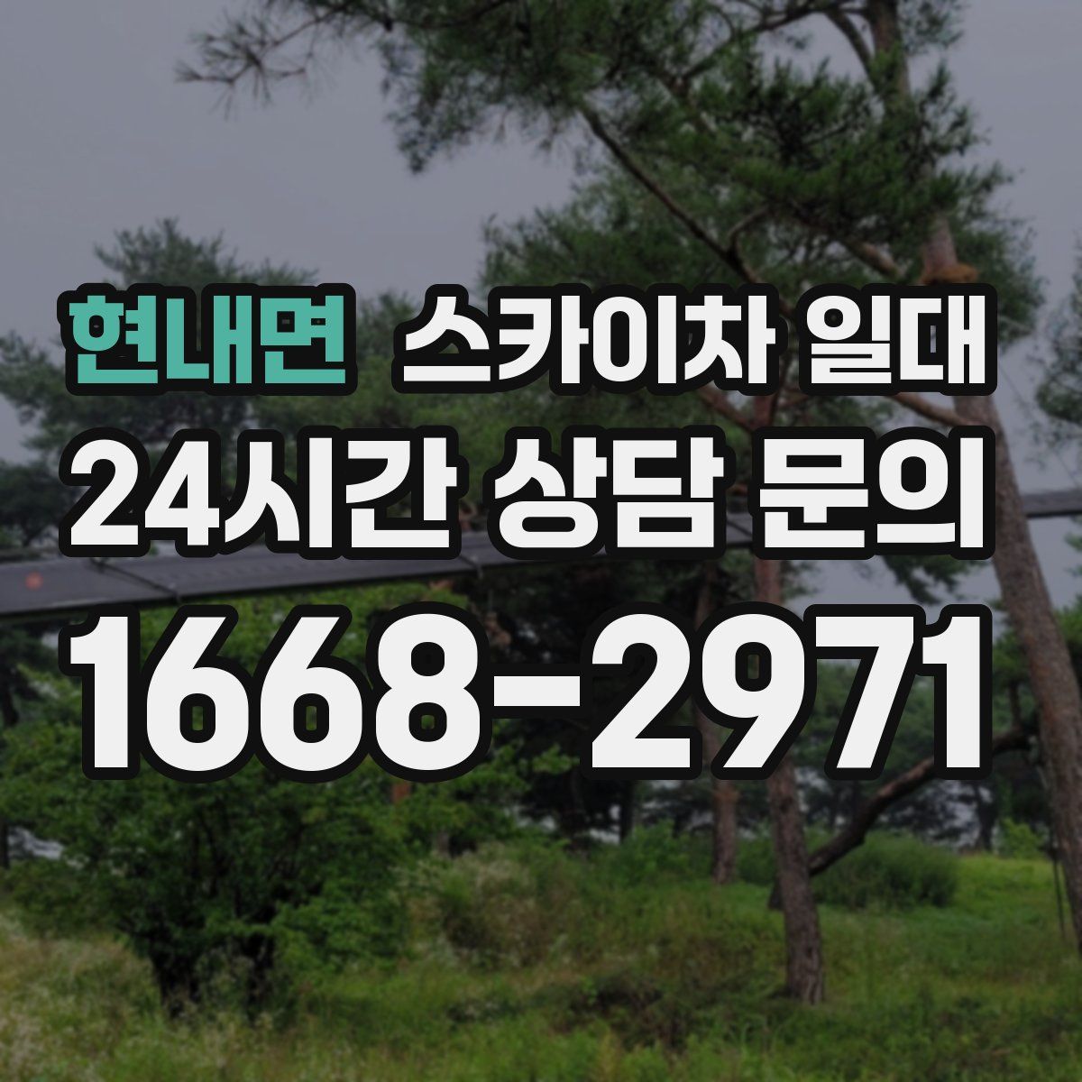 현내면 스카이차 일대