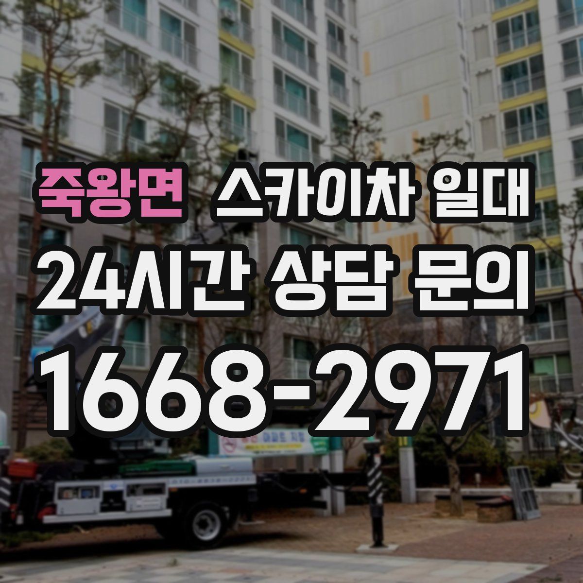 죽왕면 스카이차 일대
