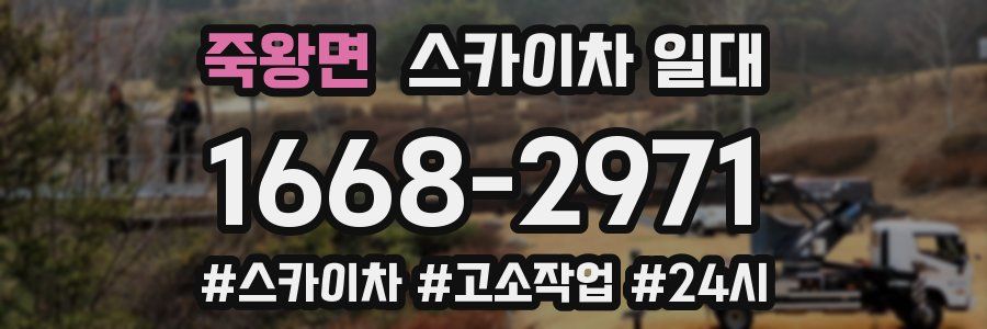죽왕면 스카이차 일대