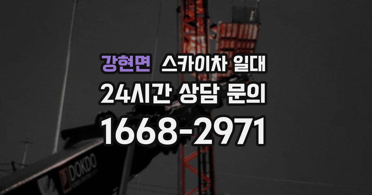 강현면 스카이차 일대