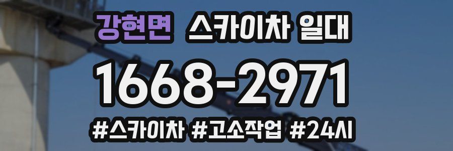 강현면 스카이차 일대