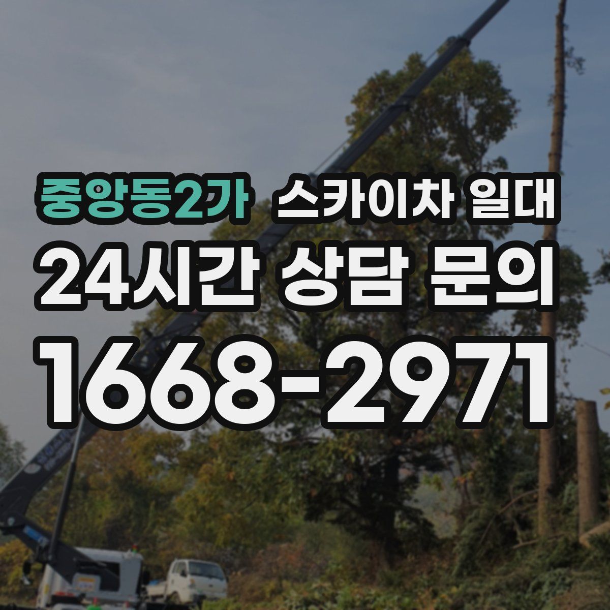 중앙동2가 스카이차 일대