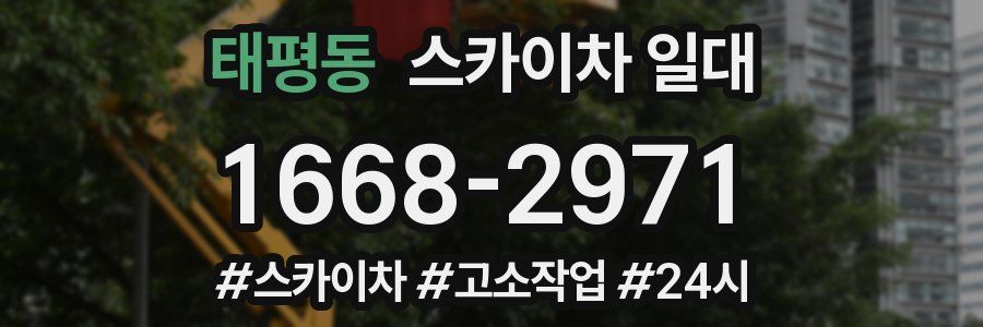 태평동 스카이차 일대