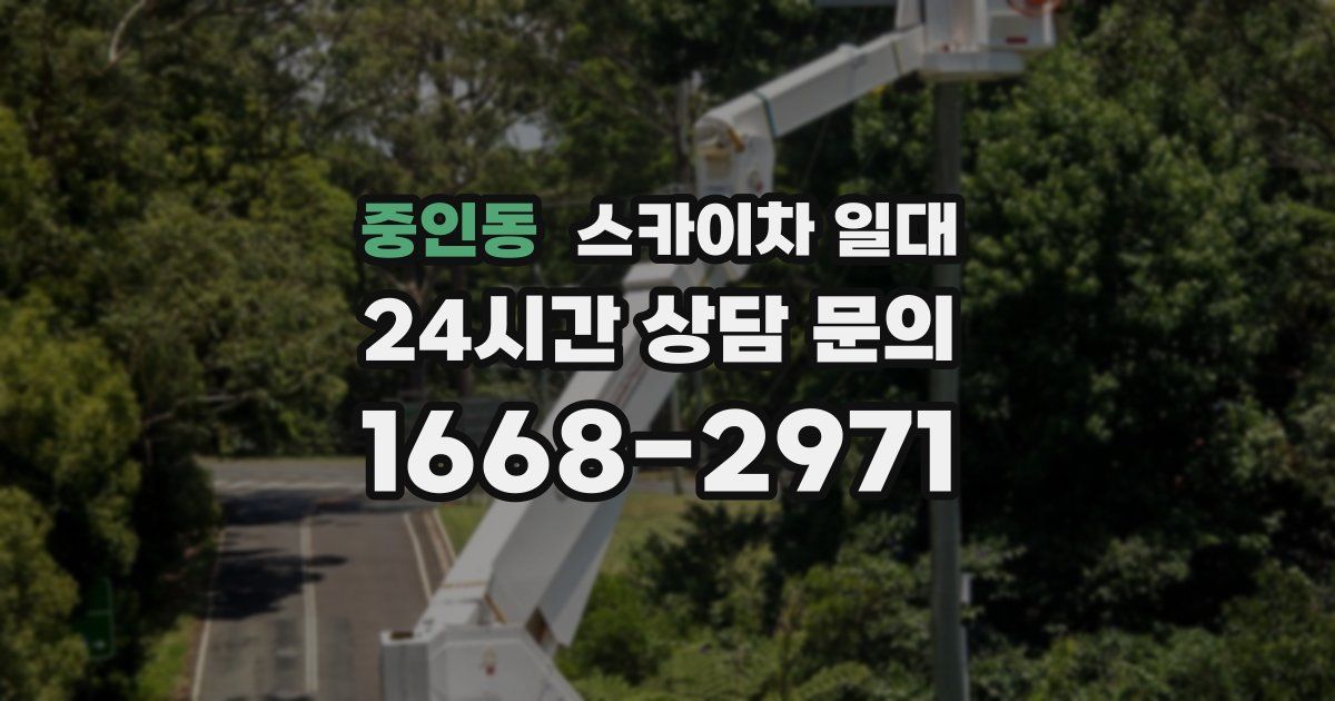 중인동 스카이차 일대