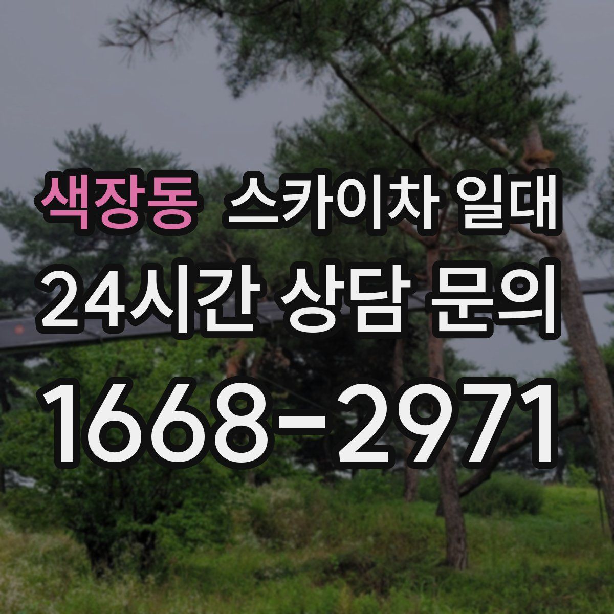 색장동 스카이차 일대