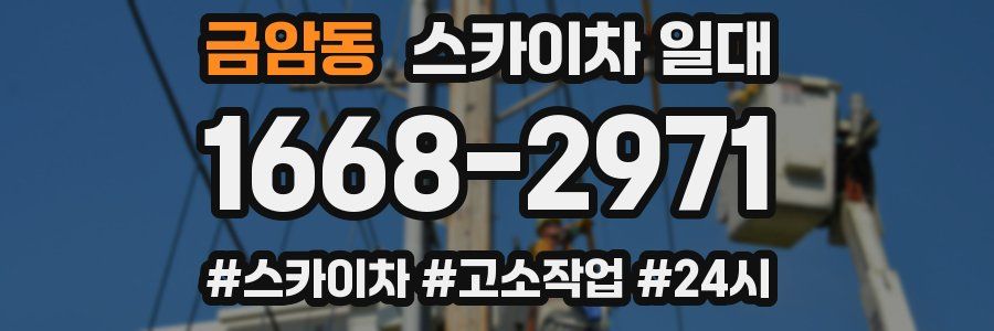 금암동 스카이차 일대