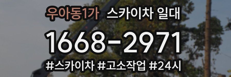 우아동1가 스카이차 일대