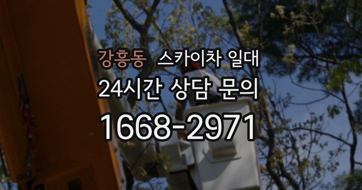 강흥동 스카이차 일대