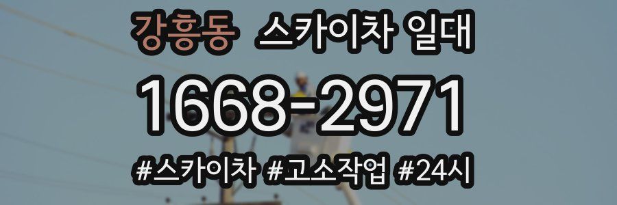 강흥동 스카이차 일대