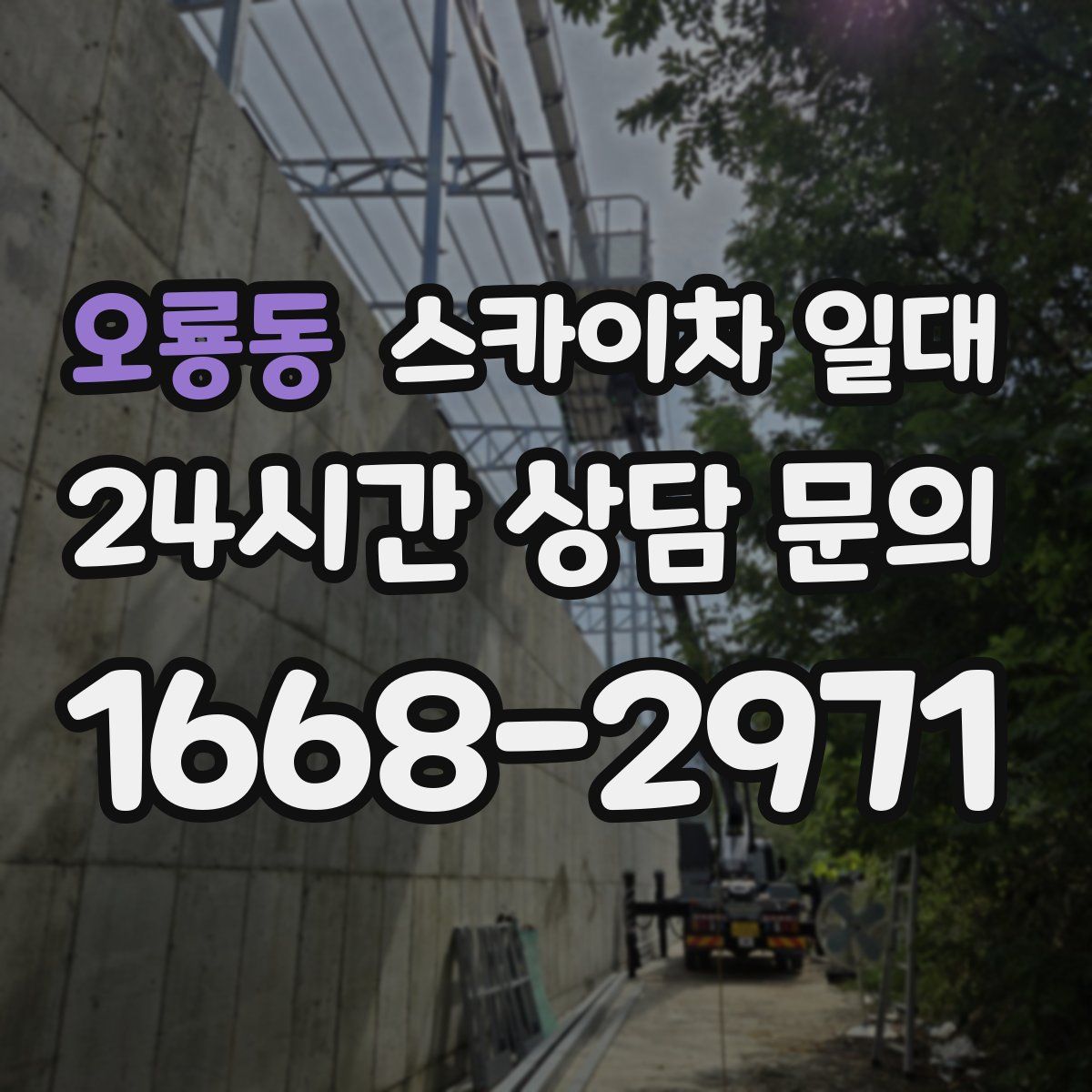 오룡동 스카이차 일대